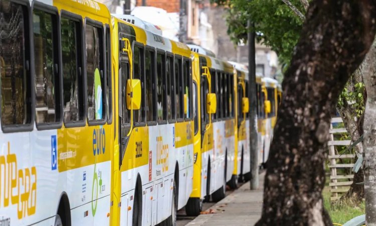 Salvador tem mudança em 19 linhas de ônibus a partir de sábado (30)