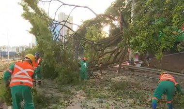 Sem luz: 1.900 imóveis ficam sem energia após queda de árvore na Av. ACM