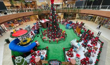 Saiba o que abre e fecha em Salvador e RMS no feriado do dia 15