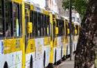 Greve unificada: Ônibus e BRT de Salvador, RMS, intermunicipal e urbano de Feira devem ser afetados
