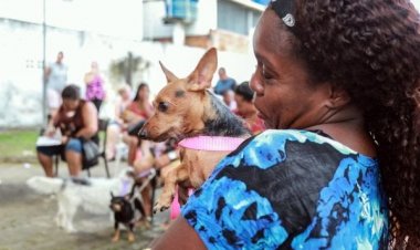 Castramóvel atende gratuitamente animais da região de Cajazeiras