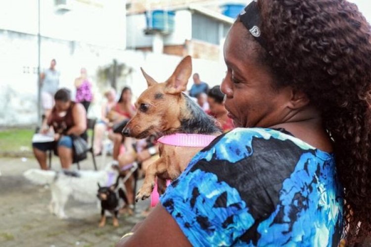 Castramóvel atende gratuitamente animais da região de Cajazeiras