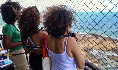 Temporada de observação de baleias-jubarte será aberta oficialmente em Salvador na próxima segunda (15)