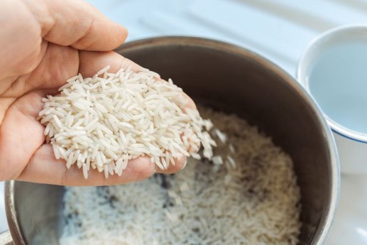 Arroz: governo, indústria e produtor fazem acordo para monitorar preço