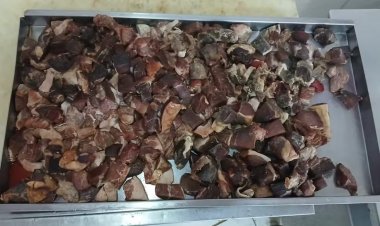 Dono de mercado é preso por vender carnes fora da validade e em estado de decomposição em Salvador