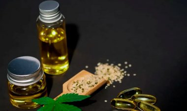 Entenda lei que autoriza distribuição de medicamentos à base de cannabis pelo SUS na Bahia