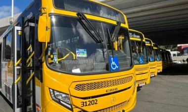 Novas linhas de ônibus passam a circular em Salvador